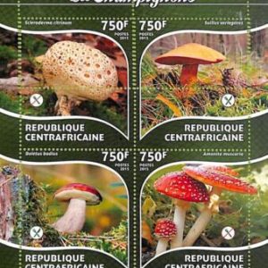 A7645a - CENTRAFRICAINE- ERROR MISPERF Stamp Sheet - 2015 -  NATURE Mushrooms