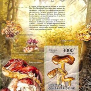 A7643 - CENTRAFRICAINE- ERROR MISPERF Stamp Sheet - 2013 - NATURE Mushrooms