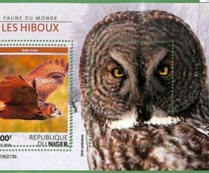 A2415 - NIGER -  ERROR: MISSPERF Stamp Sheet  - 2019 Birds OWLS