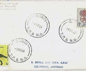 35142 -  PAPUA NEW GUINEA - POSTAL HISTORY -  cover BUNDI 1965 -  BIRDS malaria