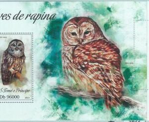 M1621 - S TOME & PRINCIPE, ERROR, 2013, MISPERF SHEET: Birds of prey, Owls