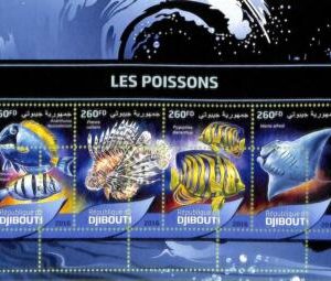 A7707 - DJIBOUTI- ERROR MISPERF Stamp Sheet - 2016  Marine life FISH