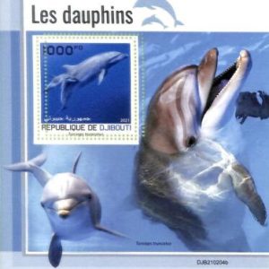 A7705 - DJIBOUTI- ERROR MISPERF Stamp Sheet - 2021  Marine mammals DOLPHINS
