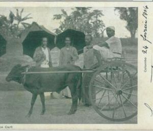 80354  -   CEYLON  - VINTAGE POSTCARD   -  COLOMBO 1904