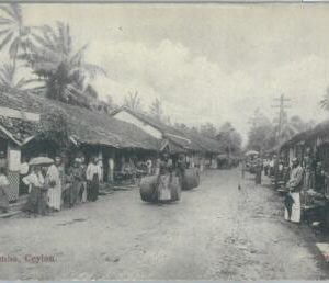 80361  -   CEYLON  - VINTAGE POSTCARD   -  COLOMBO  - Ethnic