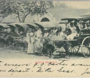 80383  -   CEYLON  - VINTAGE POSTCARD   -  COLOMBO  - Ethnic   1906