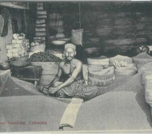 80393  -   CEYLON  - VINTAGE POSTCARD   -  COLOMBO  - Ethnic : Rice Boutique