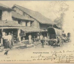 80382  -   CEYLON  - VINTAGE POSTCARD   -  COLOMBO  - Ethnic :  Stores  1903