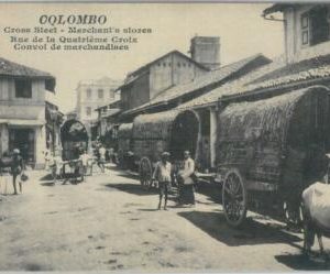 80362  -   CEYLON  - VINTAGE POSTCARD   -  COLOMBO  - Ethnic