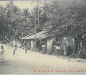80353  -   CEYLON  - VINTAGE POSTCARD   -  COLOMBO 1908