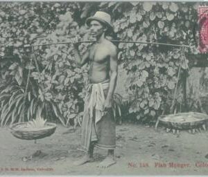 80381  -   CEYLON  - VINTAGE POSTCARD   -  COLOMBO  - Ethnic : FISH MONGER  1906