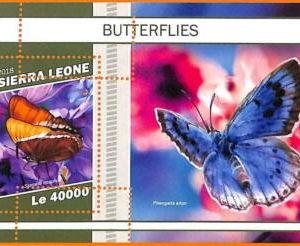 A6818 - SIERRA LEONA, Error, 2018, HOJA DE RECUERDO MISSPERF: Mariposas