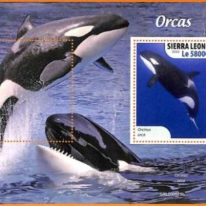 A6800 - SIERRA LEONE, Error, 2020, MISSPERF SOUVENIRBLATT: Orcas