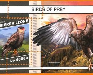 A6820 - SIERRA LEONE, Error, 2018 MISSPERF SOUVENIRBLATT: Raubvögel, Adler