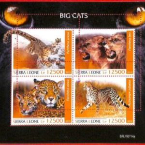 A4536 - SIERRA LEONE - ERROR MISPERF, Miniatura hoja: 2019, Leones, Leopardos