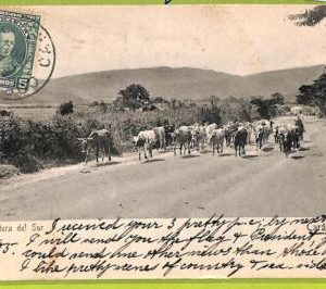 af2931 - VENEZUELA - VINTAGE POSTCARD - Caracas