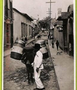 af2944 - VENEZUELA - VINTAGE POSTCARD - Caracas - Bread Mule in a street