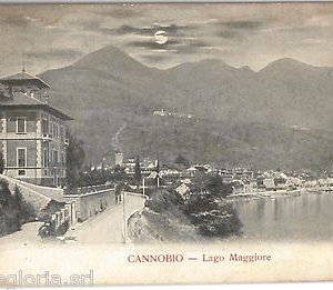 55751 -- CARTOLINA d'Epoca - LAGO MAGGIORE:  Cannobio 1910