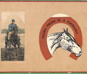 ah2666 - VINTAGE POSTCARD Ansichtskarten - HORSE Riding  SPORT
