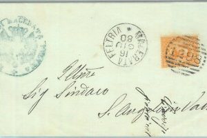 89542 - REGNO - STORIA POSTALE - Annullo NUMERALE su BUSTA - MACERATA FELTRIA