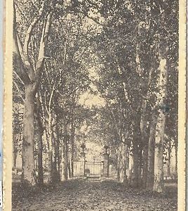 64411 - CARTOLINA d'Epoca - PAVIA provincia :  CHIGNOLO PO  1924