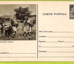 af9867 - Romania - POSTAL HISTORY - Postal Stationery Card -  MEDICINE Chemist