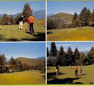 af6731 -   VINTAGE POSTCARD  Ansichtskarten - Sport ,Golf