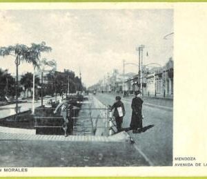 af0703 - ARGENTINA - Vintage Postcard - Mendoza - Avenida de la Alameda