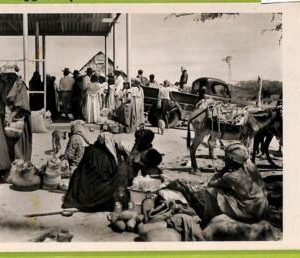 af2964 - VENEZUELA - VINTAGE POSTCARD - Caracas