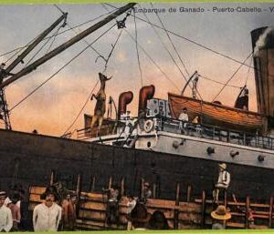 af3028 -  VENEZUELA - VINTAGE POSTCARD - Puerto Cabello