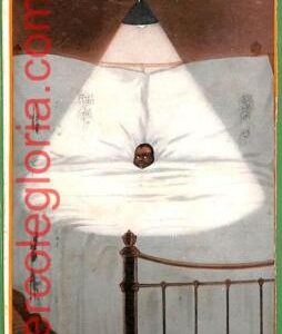 ah2132 - USA - VINTAGE POSTCARD Postal Antigua - ETHNIC Humor