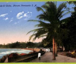af3013 -  VENEZUELA - VINTAGE POSTCARD - Macuto - 1928