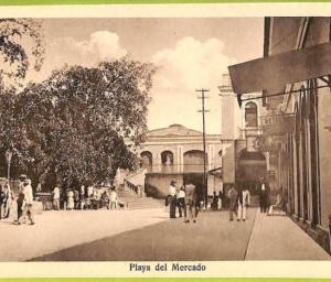 af3036 -  VENEZUELA - VINTAGE POSTCARD - Playa del Mercado