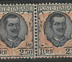 47596 - ITALIA Regno - Sassone 203 coppia varieta': ORNATO FLOREALE SPOSTATO **