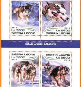 A6782 - SIERRA LEONE, Fehler, 2018, MISSPERF MINI S: Schlittenhunde,...