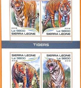 A6787 - SIERRA LEONE, Error, 2018, MISSPERF MINIATURBLATT: Tigers