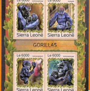 A6779 - SIERRA LEONA, Error, 2016, HOJA MINIATURA MISSPERF: Gorilas
