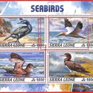 A4688 - SIERRA LEONE - ERROR MIPERF, Kleinbogen: 2018, Seevögel