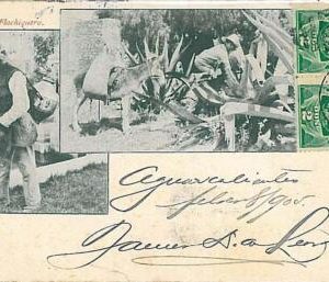 24378-MEXICO-VINTAGE POSTCARD:-ETHNIC POSTCARD:AGUADOR FLAQUIQUEROAGAVE 1905