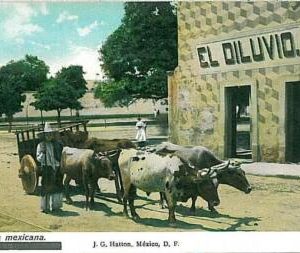 24382 - MEXICO - VINTAGE POSTCARD - ETHNIC POSTCARD : VERY NICE!