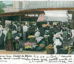 24383 - MEXICO - VINTAGE POSTCARD - MEXICO City : FLOWER MARKET 1909