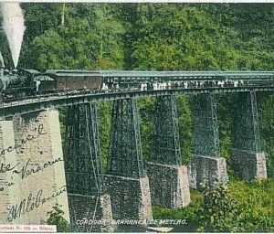 24436 -  MEXICO  - VINTAGE POSTCARD- CORDOVA 1913