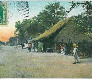 24450 -  MEXICO - VINTAGE POSTCARD - CHAPALA 1913