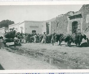 24519 - MEXICO- VINTAGE POSTCARD - Oaxaca : PICTURE - not postcard