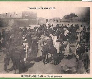 93035 - VINTAGE POSTCARD  -  SENEGAL - 1905 -  ETHNIC