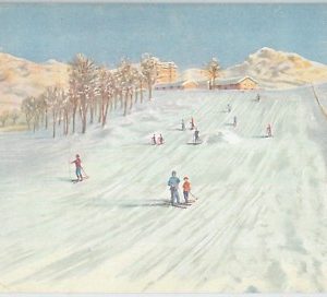 73276  - CARTOLINA d'Epoca - LECCO  provincia :  VALSASSINA