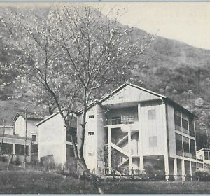 73306 - CARTOLINA d'Epoca - LECCO  provincia :  PORTONE
