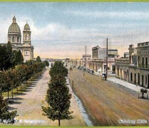 af0829 - ARGENTINA - Vintage Postcard - LA PLATA - Calle Chivilcoy