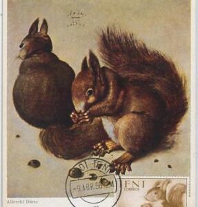52609 - IFNI - MAXIMUM CARD - ANIMALS rodents SQUIRRELS  1956