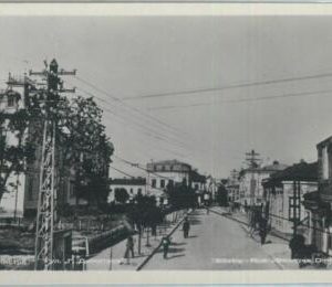 79626 -  BULGARIA  - VINTAGE  POSTCARD -   SILISTRA  Photographic